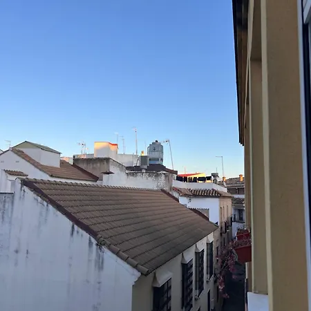 Apartment Hz Centro *